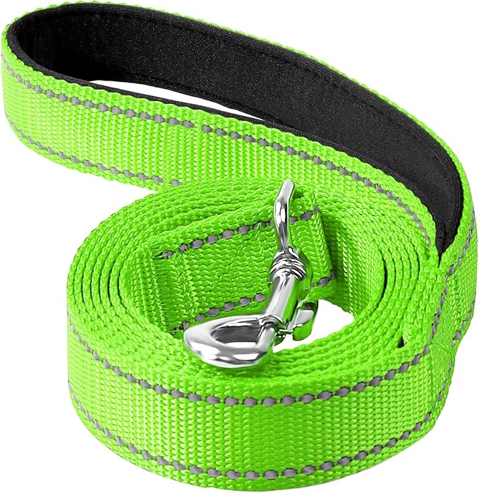 6FT Reflective Nylon Dog Leash with Soft Padded Handle for Walking, Running and Training, Supports Small Medium and Large Dogs (Green, 3/4Inch Wide)