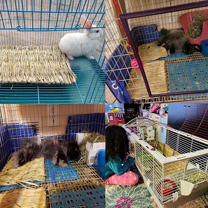 PINVNBY Natural Grass Mat for Rabbits,2 Pack Rabbit Hay Mats,100% Handwoven Hay Chewable Bedding & Cooling Mat for Bunny Guinea Pigs Hamsters Chinchillas - Eco-Friendly Cage Liner,Nesting Toy