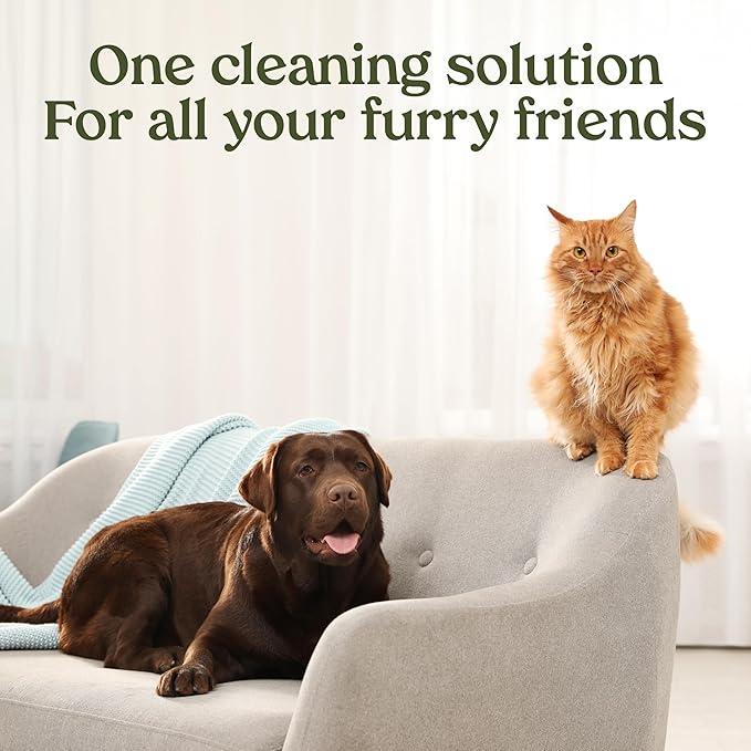 PAWFUME Stain & Pet Urine Odor Eliminator, 4-Pack – Removes Impurities in Seconds – Enzymatic Formula, Quick-Dry Action, & Eco-Friendly Ingredients – Upholstery, Fabrics, and Carpet Cleaner Spray