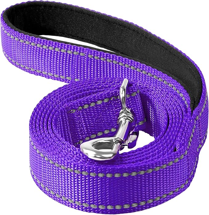 4FT Reflective Nylon Dog Leash with Soft Padded Handle for Walking, Running and Training, Supports Small Medium and Large Dogs (Purple, 1 Inch Wide)