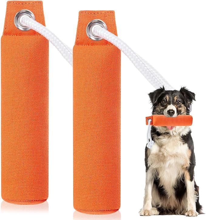2 Pcs Dog Bumpers Canvas Training Dummy Hunting Dog Training Toys for Easy Throwing (Not Chew Toys)(Orange,9.8 x 2.8 Inches)