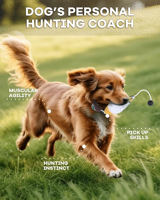 Duck Dummy Bumper Toys for Hunting Retriever Dog Training, Training Dummy with Floating and Tear-Resistant Design for Water and Land Retrieval Training