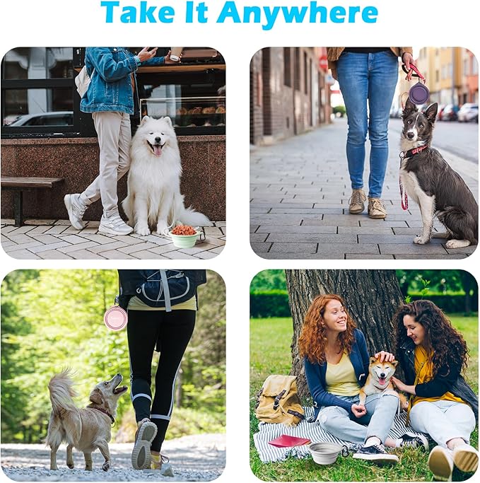 PetBonus 2-Pack Silicone Collapsible Dog Bowls, BPA Free Dishwasher Safe, Portable Foldable Expandable Travel Bowl, Food Water Feeding Cup Dish for Dogs Cats with 2 Carabiners (Green, Orange)