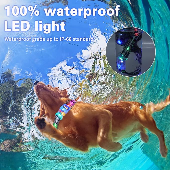 Upgraded Version Light Up Dog Collars,LED Dog Collar Rechargeable Waterproof,2-in-1 Buckle Type Glow Dog Collar for Medium Large Dogs.XL(Bohemian Blue)