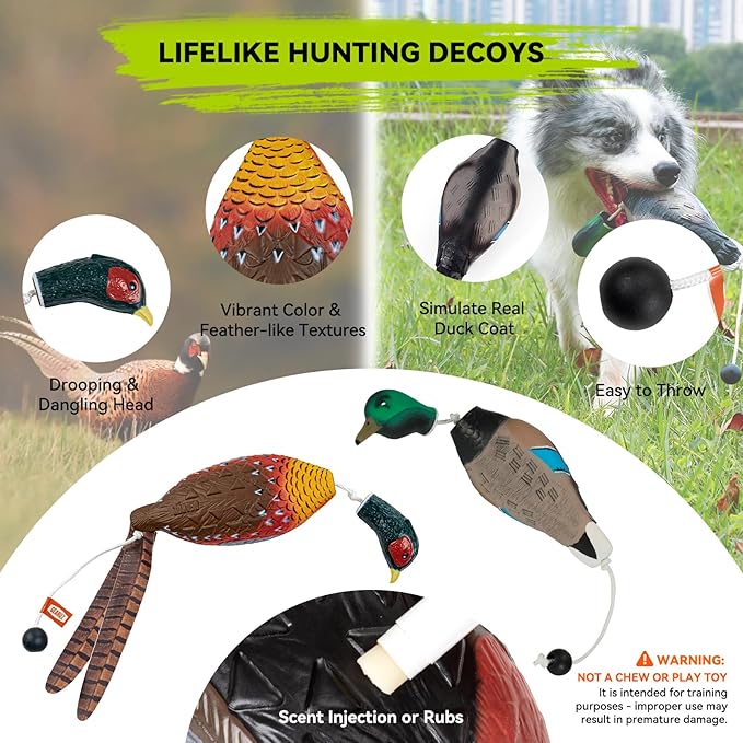 Duck/Pheasant Dummy, Mimics Dead Duck/Pheasant Bumper for Gun Dog Training Scent Waterfowl Hunting Retriever, Outdoor Mallard Retrieval Interactive Train Toys, Floating & Durable