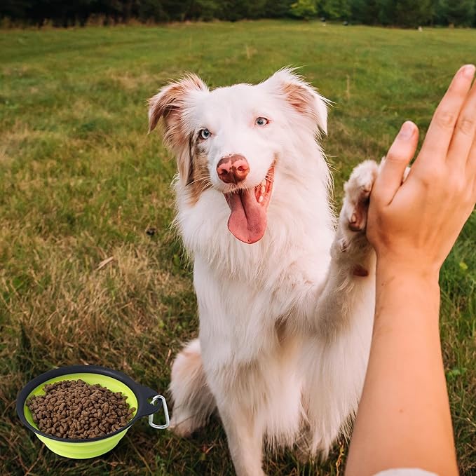 SLSON Dog Bowls Collapsible Pet Travel Feeder, 2Pack Integrated Molded Reinforced Rim Cat Water Dish Lightweight Foldable Food Dispenser for Pets Walking Parking Camping,Green and Blue,Small
