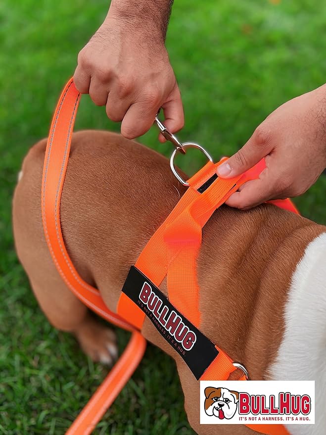 BULLHUG 6 FT Bulldog Leash with Padded Handle. Perfect for Bulldogs, French Bulldogs, Pugs & All Breeds. Leashes for Walking, Training Lead for Bulldogs (NEON Orange)