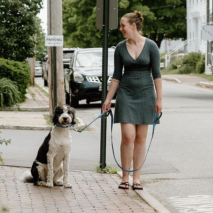 Fida 5 FT Heavy Duty Dog Leash with 2 Comfortable Padded Handles, Traffic Handle & Advanced Easy Snap Hook, Reflective Walking Lead for Large, Medium & Small Breed Dogs, Blue