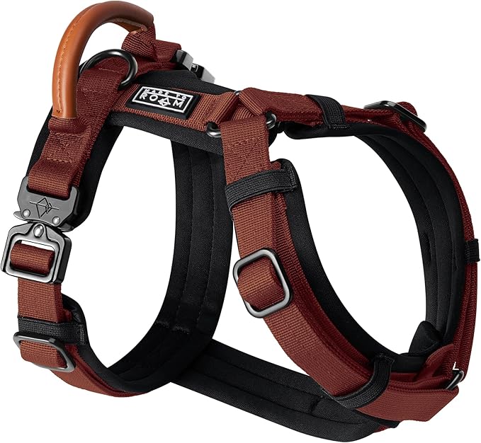 MADE TO ROAM Premium Explorer Harness - Y-Shaped Dog Harness with Adjustable Durable Nylon, Soft Padding, Metal Buckles and Leather Handle for Small, Medium, Large Dogs (Arizona Heartbeat, Size 7)