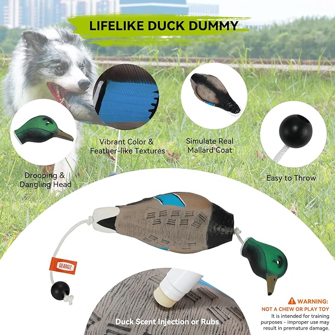 Duck/Pheasant Dummy, Mimics Dead Duck/Pheasant Bumper for Gun Dog Training Scent Waterfowl Hunting Retriever, Outdoor Mallard Retrieval Interactive Train Toys, Floating & Durable