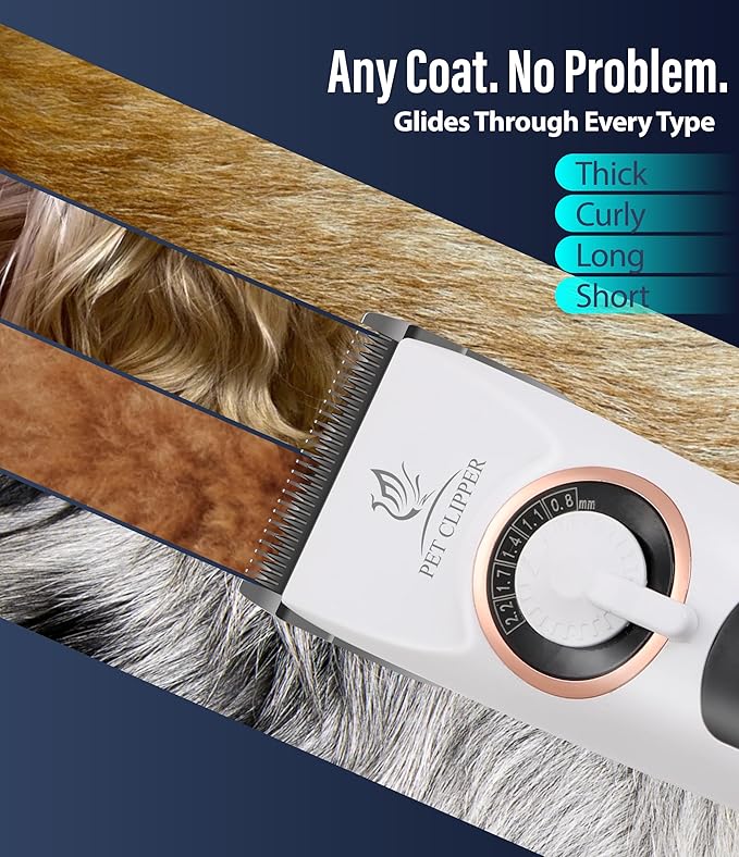 Professional Dog Grooming Clippers with 12H Runtime & Replaceable 440C Blade, 3-Speed Low Noise Electric Dog Shaver for Thick, Matted, Curly Hair, Cordless Clipper for Groomer & Home Use, White