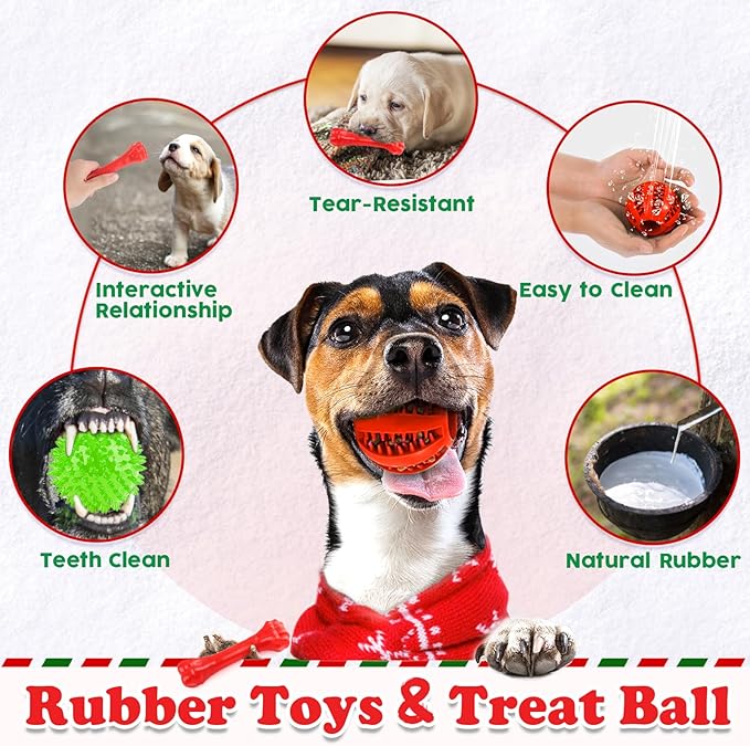 Christmas Dog Toys 10 Pack, Luxury Santa Puppy Chew Toy, Cotton Squeaky Plush Toys for Small Dogs, Durable Interactive Rope Treat Dog Ball and Bones, Rubber Teething Toys for Dogs Gifts