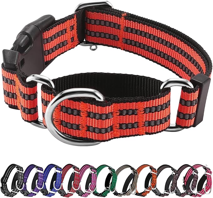 Hikiko Martingale Dog Collars Reflective Nylon Dog Collar with Quick Release Buckle Adjustable Training No Slip Dog Collar (Small, Tangerine)