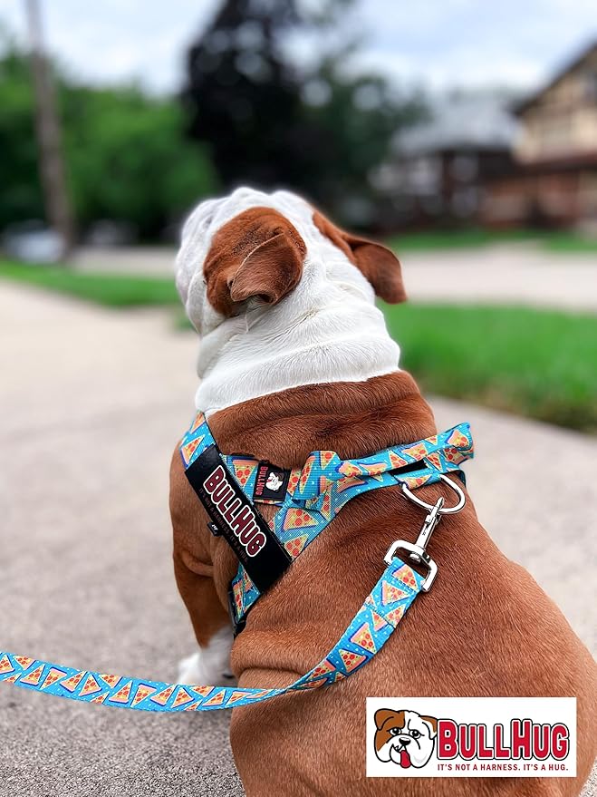 BULLHUG 6 FT Bulldog Leash with Padded Handle. Perfect for Bulldogs, French Bulldogs, Pugs & All Breeds. Leashes for Walking, Training Lead for Bulldogs (Pizza)