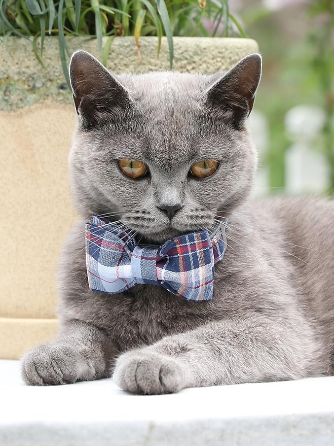 Lionet Paws Dog and Cat Collar with Bowtie Grid Collar Plastic Buckle Light Adjustable Collars for Small Medium Large Dogs