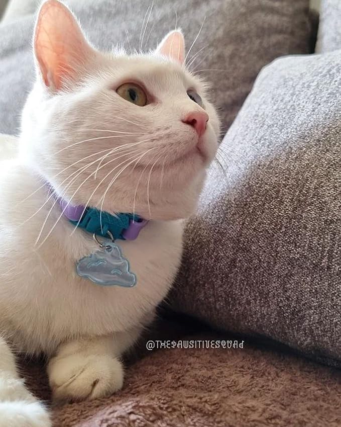 Kittyrama Mauve Cat Collar with Bell. Cat Friendly Award Winner. Approved by Vets and Cat Experts. Breakaway Cat Collars Quick Release. Kitten Collar. Won't Rub Fur. Lightweight, Soft & Comfy