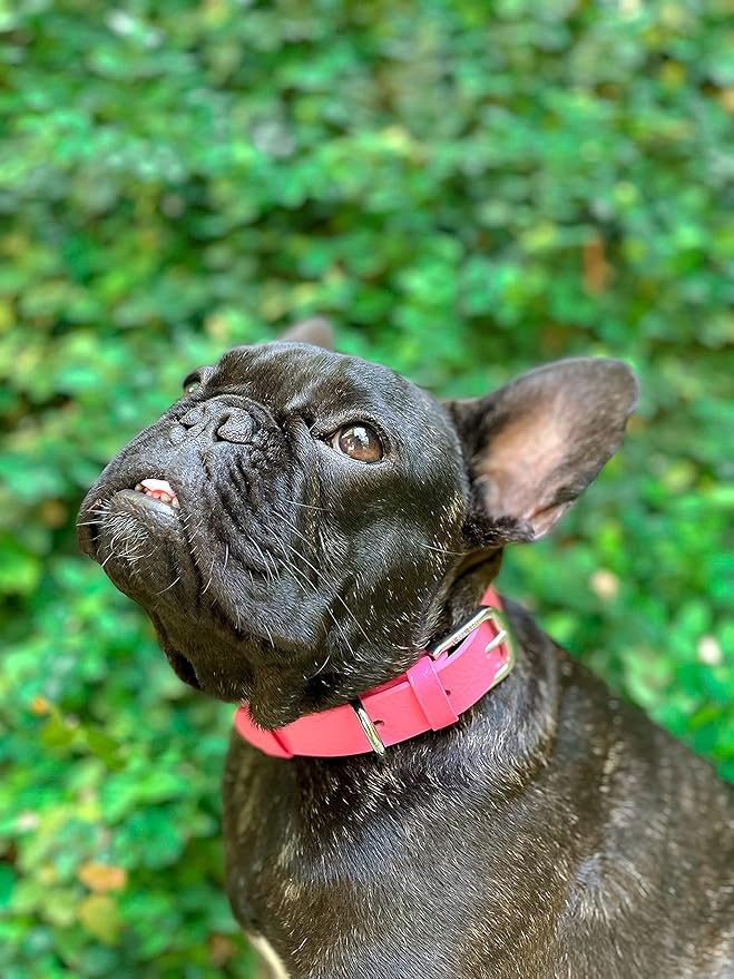 Tuff Pupper Classic Heavy Duty Dog Collar | 10x Stronger Than Leather | 100% Waterproof & Odor Proof Dog Collar | Tough Rust-Proof All Metal Hardware