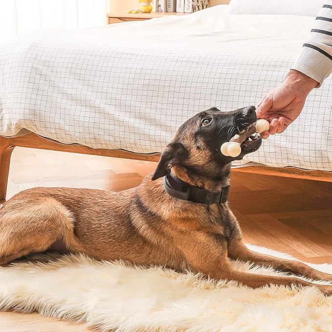 Nylon Dog Bones, Pack Tough Chew Toys for Large/Medium/Small Dogs, Beef Flavor, Teeth Cleaning, Training (2 Pcs, Fat Bones)