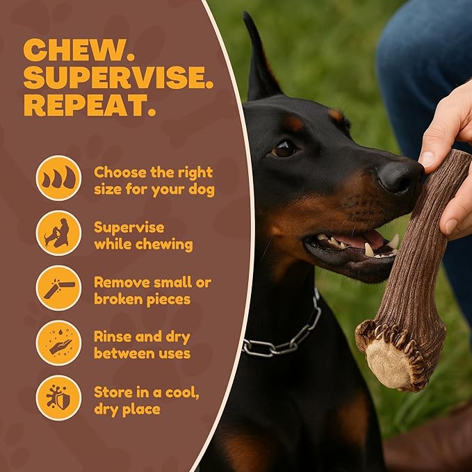 WhiteTail Naturals - Deer Antlers for X-Large Dogs (2 Pack- Jumbo XXL) All Natural Antler Dog Chew - Naturally Shed, Long Lasting Chew Bone for Big Agressive Chewers