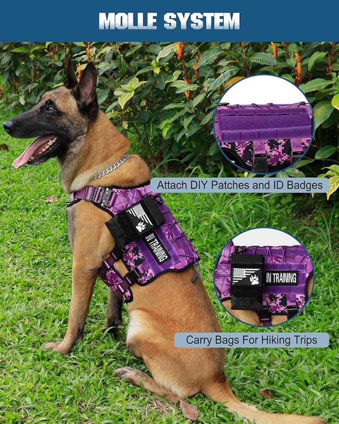PETNANNY Tactical Service Dog Vest - No-Pull Emotional Support Harness with Hook & Loop Patches & Molle System for Training & Hunting (Purple Camo, Medium)