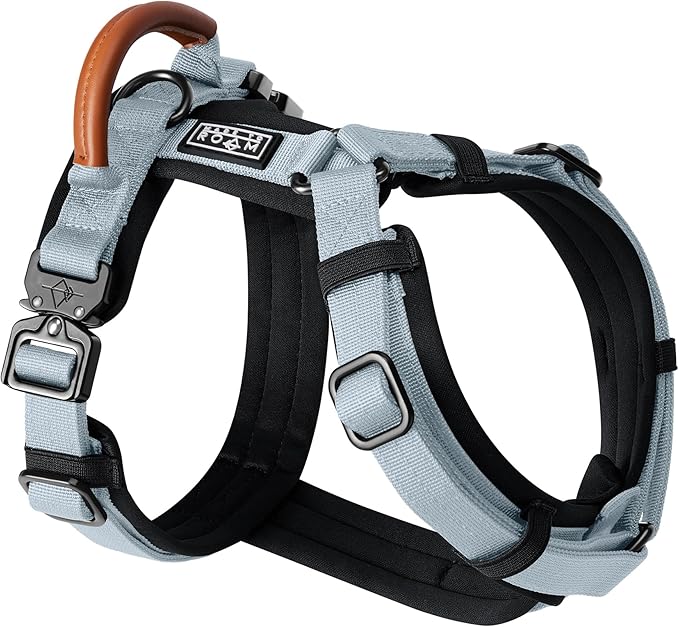 MADE TO ROAM Premium Explorer Harness - Y-Shaped Dog Harness with Adjustable Durable Nylon, Soft Padding, Metal Buckles and Leather Handle for Small, Medium, Large Dogs (Alaska Daybreak, Size 5)