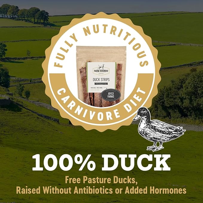 Farm Hounds - Duck Strips - Premium Natural Jerky for Dogs - Made from 100% Humanely Raised Duck - Great for Training & Treats - No Added Fillers - Made in USA - 4.5 oz - 2 Pack
