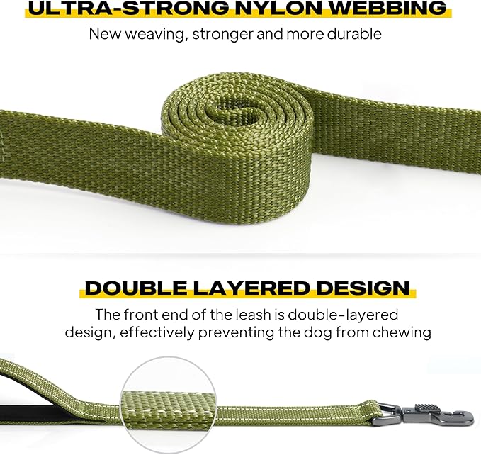 Fida 4 FT Heavy Duty Dog Leash with 2 Comfortable Padded Handles, Traffic Handle & Advanced Easy Snap Hook, Reflective Walking Lead for Large, Medium & Small Breed Dogs, Green