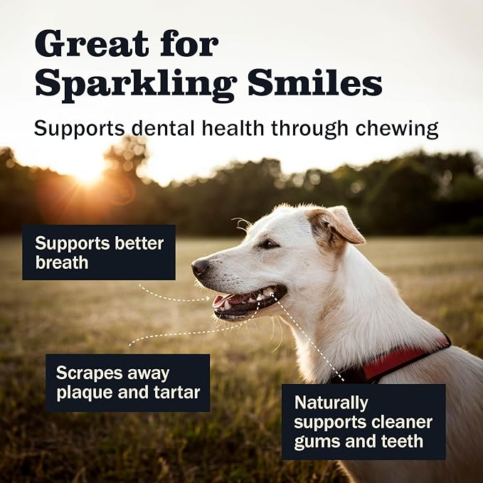 Redbarn Pet Products 12" Braided Bully Sticks for Dogs, Pack of 25