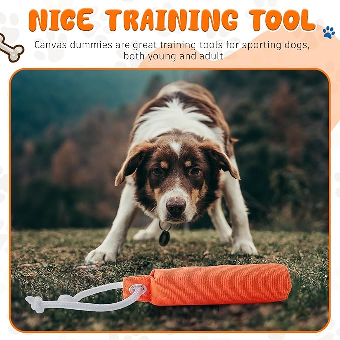 2 Pcs Dog Bumpers Canvas Training Dummy Hunting Dog Training Toys for Easy Throwing (Not Chew Toys)(Orange,9.8 x 2.8 Inches)