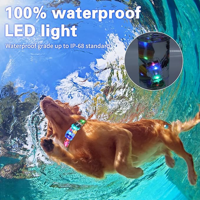 Light Up Dog Collars,LED Dog Collar Rechargeable Waterproof,2-in-1 Buckle Type Glow Collar for Medium Large Dogs- M(10-17 * 0.98 inch can be Crop)