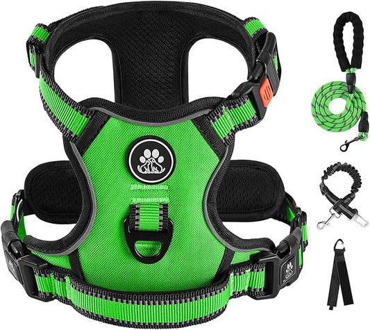 IVY&LANE No Pull Dog Harness for Small Dogs, Dog Vest Harness with Leash, Safety Belt and Storage Strap, Fully Adjustable Harness, 360?Reflective Strip, Soft Handle (Green,S)