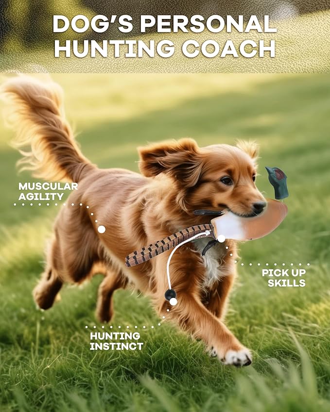 Pheasant Dummy Bumper Toys for Hunting Retriever Dog Training, Training Dummy with Floating and Tear-Resistant Design for Water and Land Retrieval Training