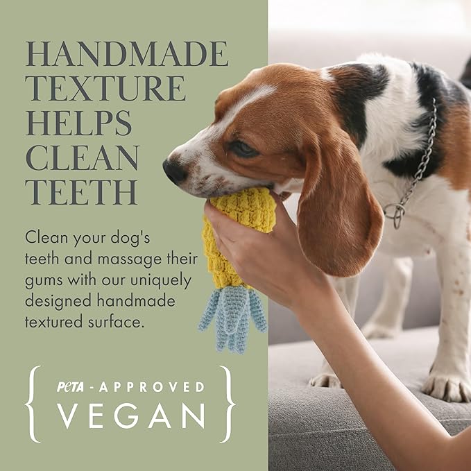 Nina Woof Organic Cotton Dog Toys Pack – Handmade Squeaky Plush Puppy Toys for Small and Medium Dogs, Eco Friendly Teething Accessories, Natural Pet Gift Set with Cute Fruit and Veggie Designs