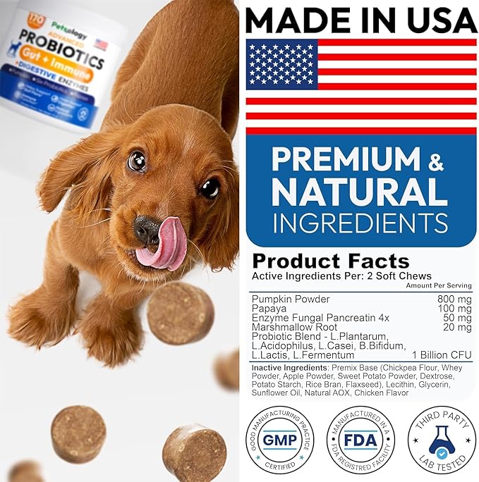 (2 Pack) Probiotics for Dogs - 340 Dog Probiotics Chews - Digestive Enzymes & Prebiotics - Support Gut Health, Diarrhea, Gas & Constipation Relief - Itchy Skin, Allergies - Advanced Supplement