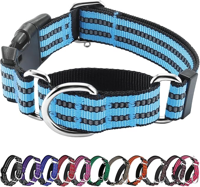 Hikiko Martingale Dog Collars Reflective Nylon Dog Collar with Quick Release Buckle Adjustable Training No Slip Dog Collar (Large, Light Blue)