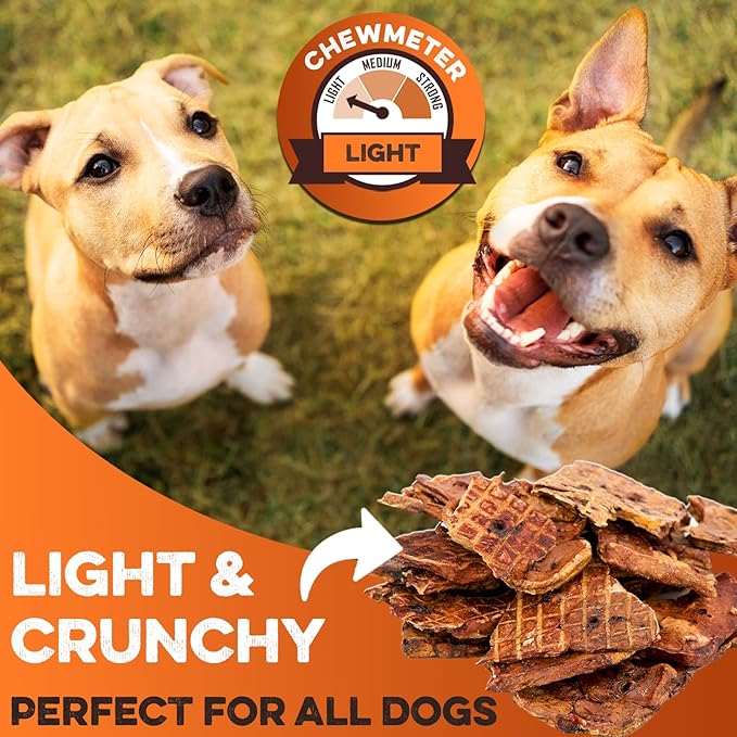BRUTUS & BARNABY Lamb Lung Fillets for Dogs – 100% USA-Sourced Single Ingredient Dog Treat – High Protein, Healthy, All-Natural Dog Chews – Grain-Free, No Additives, (16oz) – Made in The USA
