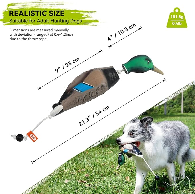 Duck/Pheasant Dummy, Mimics Dead Duck/Pheasant Bumper for Gun Dog Training Scent Waterfowl Hunting Retriever, Outdoor Mallard Retrieval Interactive Train Toys, Floating & Durable