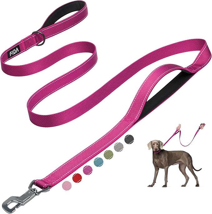 Fida 6 FT Heavy Duty Dog Leash with 2 Comfortable Padded Handles, Traffic Handle & Advanced Easy Snap Hook, Reflective Walking Lead for Large, Medium & Small Breed Dogs, Rose