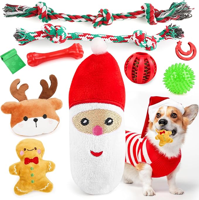 Christmas Dog Toys 10 Pack, Luxury Santa Puppy Chew Toy, Cotton Squeaky Plush Toys for Small Dogs, Durable Interactive Rope Treat Dog Ball and Bones, Rubber Teething Toys for Dogs Gifts