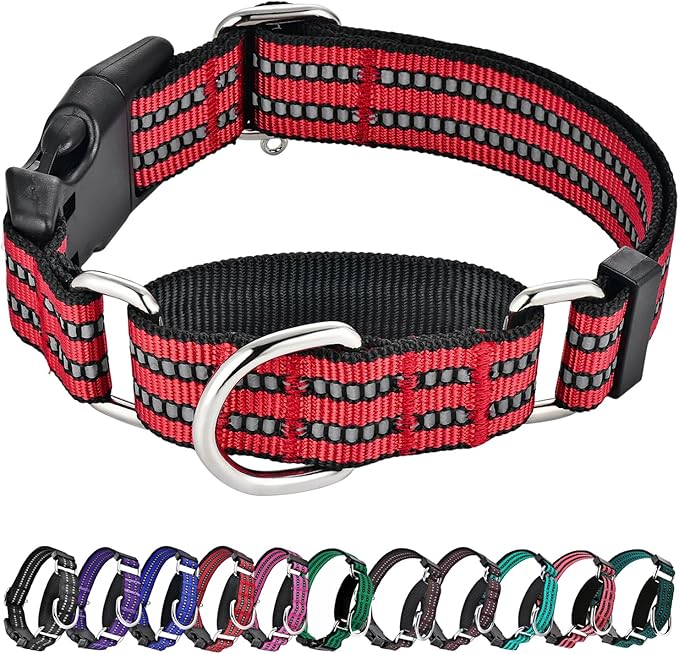 Hikiko Martingale Dog Collars Reflective Nylon Dog Collar with Quick Release Buckle Adjustable Training No Slip Dog Collar (Medium, Red)