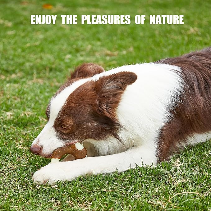 Durable Nylon Dog Bones, 2 Pack Dog Toys for Aggressive Chewers, Real Beef-Flavored U-Shaped Bones Chew Toys for Small/Medium/Large Dogs, Teething and Boredom Relief