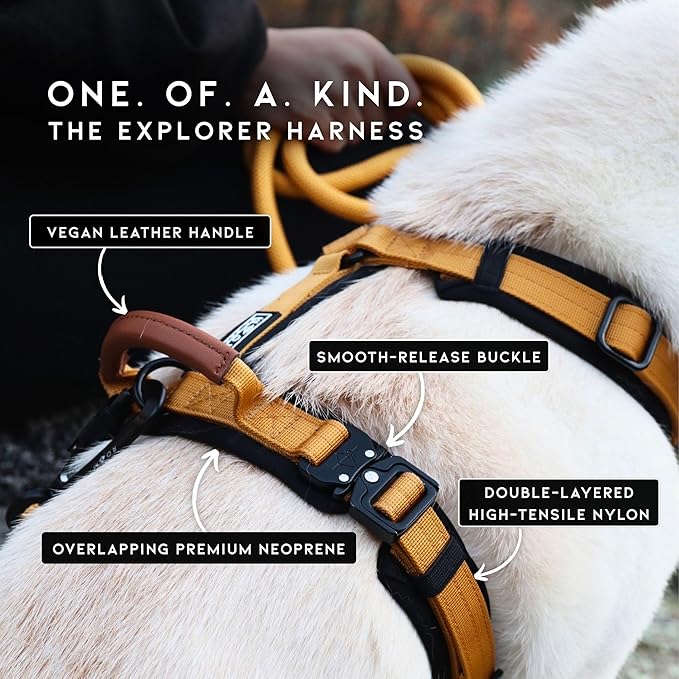 MADE TO ROAM Premium Explorer Harness - Y-Shaped Dog Harness with Adjustable Durable Nylon, Soft Padding, Metal Buckles and Leather Handle for Small, Medium, Large Dogs (Nevada Evening, Size 3)