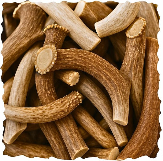WhiteTail Naturals - Bulk Deer Antlers for Dogs (1 Pound Pack) Antler Chews - Naturally Shed, Long Lasting Dog Bones for Aggressive Chewers.