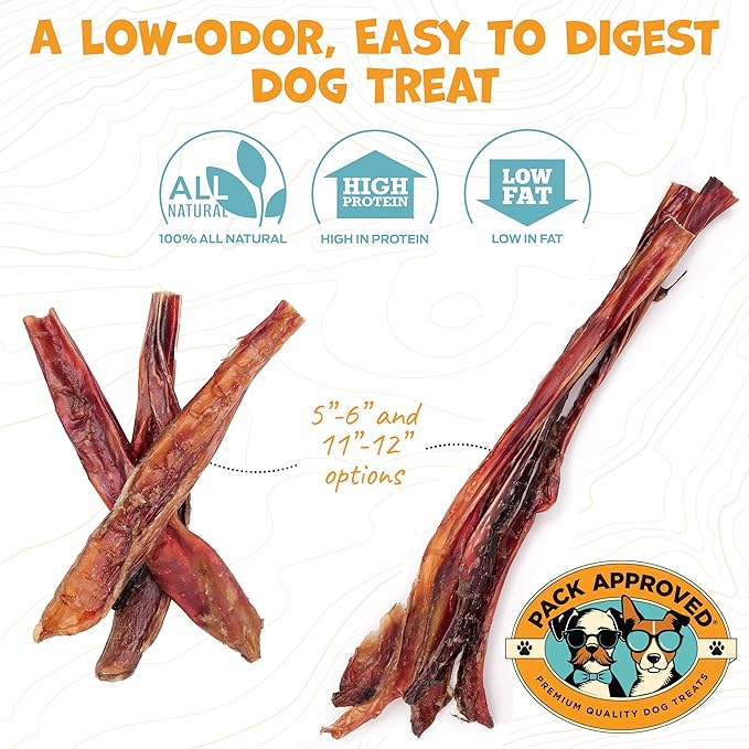 Steer Pizzle Sticks for Dogs Rawhide Free Dog Treats - Single Ingredient Bullysticks Natural Dogs Chews - Odor Free Bully Sticks - Fully Digestible Dog Chew Stick 11-12" (10 Count)