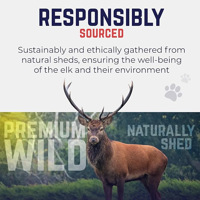 Devil Dog Pet Co. Elk Antlers for Dogs, Large 6"+, 1 Pack, Grade A Long Lasting Chew for Aggressive Chewers, Premium USA Naturally Shed Antler – Healthy, No Odor, Durable Dog Chew