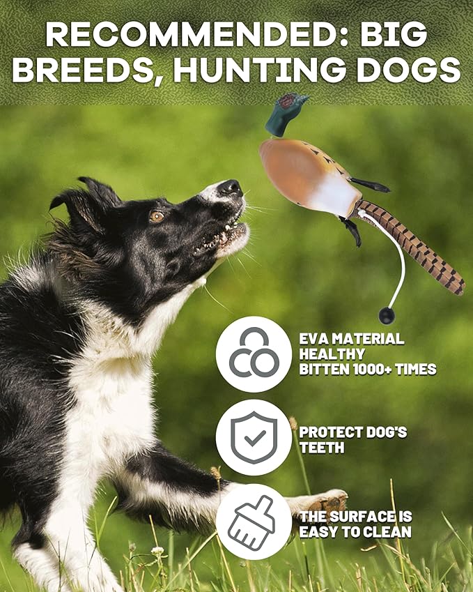 Pheasant Dummy Bumper Toys for Hunting Retriever Dog Training, Training Dummy with Floating and Tear-Resistant Design for Water and Land Retrieval Training