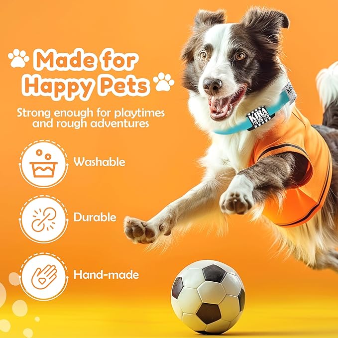 Dog ID Tags Personalized, Silicone Dog Tag Personalized for Pets, Custom Pet Name Tags