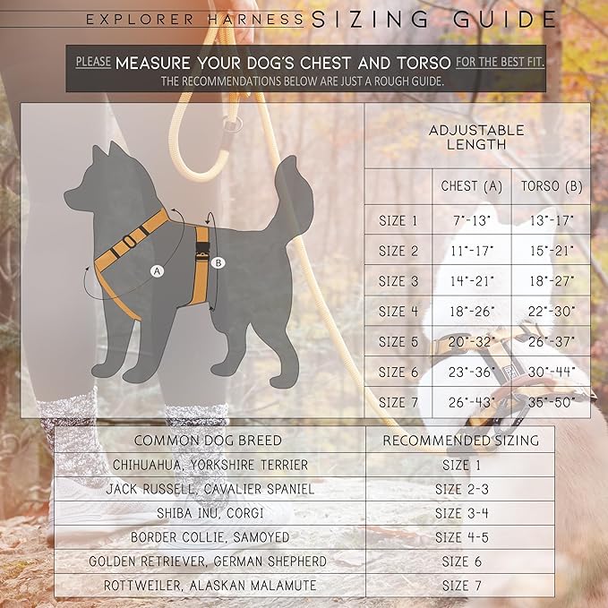 MADE TO ROAM Premium Explorer Harness - Y-Shaped Dog Harness with Adjustable Durable Nylon, Soft Padding, Metal Buckles and Leather Handle for Small, Medium, Large Dogs (Colorado Nightsky, Size 5)