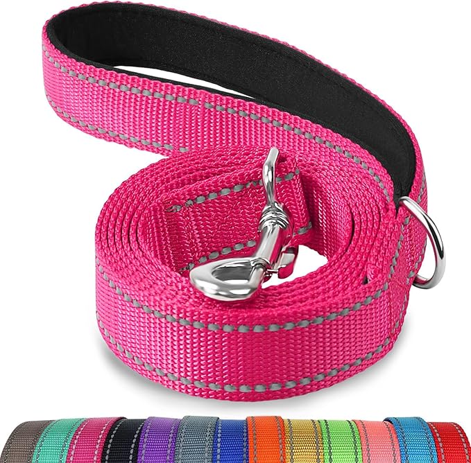 Joytale Double-Sided Reflective Dog Leash, 6 FT/5 FT/4 FT, Padded Handle Nylon Heavy Duty Leashes for Small & Medium Dogs Walking, Hotpink, 5FT