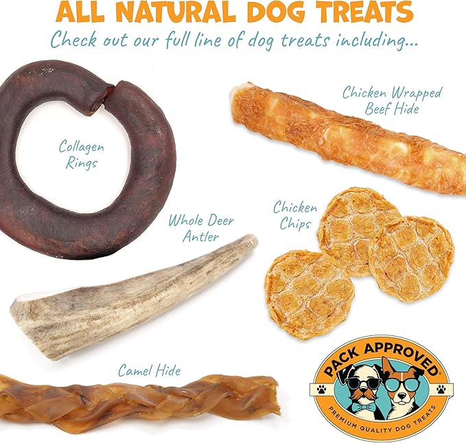 Steer Pizzle Sticks for Dogs Rawhide Free Dog Treats - Single Ingredient Bullysticks Natural Dogs Chews - Odor Free Bully Sticks - Fully Digestible Dog Chew Stick 11-12" (10 Count)